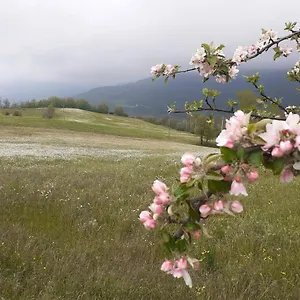 La Bicocca Bed & Breakfast Bobbio